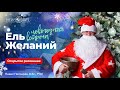 Ель желаний. Открытое рисование. Павел Пискарёв, D. Sc., Prof.