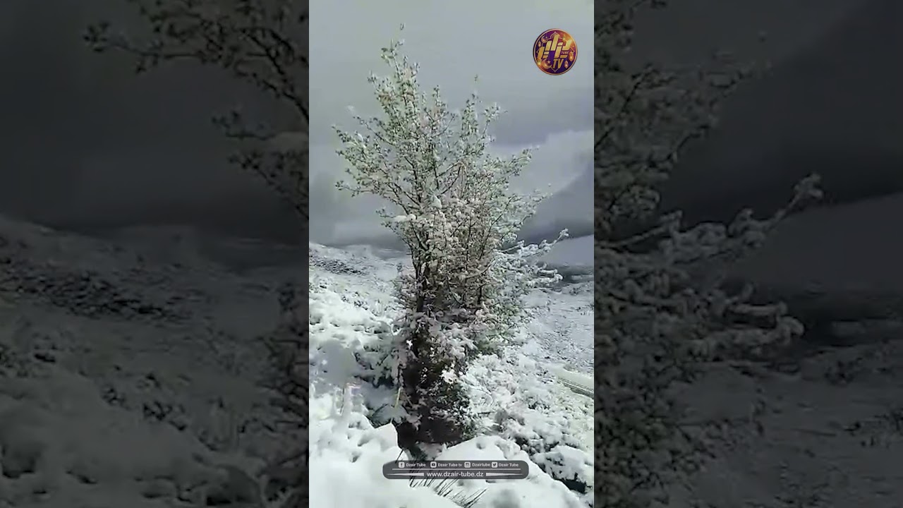 #شاهد الثلوج 😍 🥶 تصنع صور رائعة بجبال البابور بولاية #سطيف