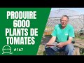 167produire 6000 plants de tomates 