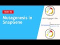 Primer directed mutagenesis in snapgene