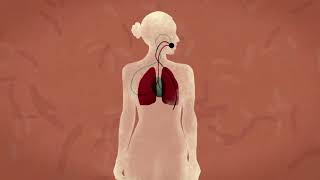 Environmental Wellness 7 - Senses