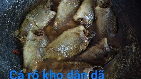 Tập 025 tiếp tục câu cá ở xã Nhơn Ninh Tây Ninh gặp ổ cá rô mề bự 