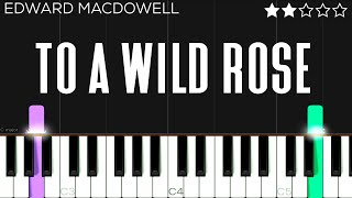 Edward MacDowell - To a Wild Rose | EASY Piano Tutorial