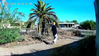 Man with the Yellow Hat strolls down the Alley, Ajo, Arizona, 21 May 2024