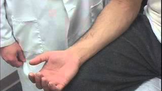 Complete Musculoskeletal Exam of the Hand and Wrist Complete Musculoskeletal Exam of the Hand and Wrist