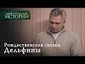 Мистические истории. Рождественская сказка. Дельфины. Сезон 1