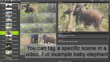 How to add keywords in Fast Video Cataloger 5.X