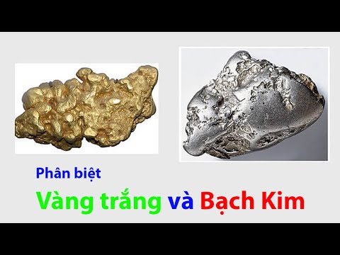 Video Sự khác biệt giữa Platinum & Vàng trắng, bạn đã biết... - youtube