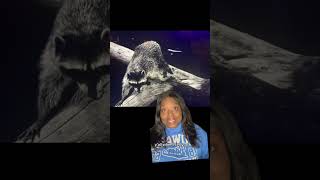 Twilight Zone Breakdown - The Hunt