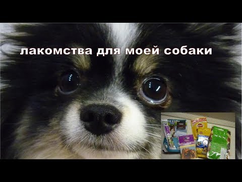 ЛАКОМСТВА ДЛЯ СОБАК - ЛАКОМСТВА моей собаки. ЛАКОМСТВА ДЛЯ СОБАК МЕЛКИХ ПОРОД - ПОРОДА ШПИЦ ЭЛЯ