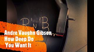 Andre Vaughn Gibson  - How Deep Do You Want It