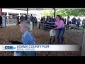 Adams County Fair 2016