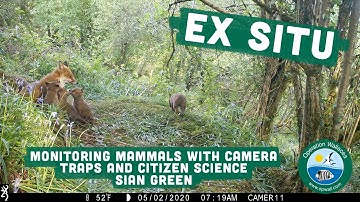 Ex Situ - Monitoring Mammals with Camera Traps and Citizen Science - Sian Green