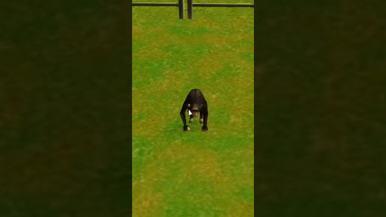 WHY WOULD THEY LET ME DO THIS?#shorts #viral #clip #twitch #streamer #gameplay #retro #funny #monkey