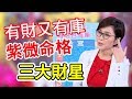 【精華版】有財有庫滿分命格 紫薇裡的三大財星在這！