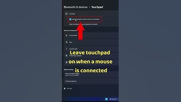 EASY FIX FOR TOUCHPAD NOT WORKING IN WINDOWS 11 #howto #windows #touchpad