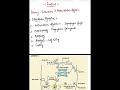 Part 7: LYSOSOMES – functions, CBSE, NEET & CSIR-NET