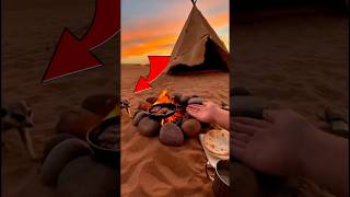 The Meerkat Stole His Food… Then Led Him to a Nightmare 🍱 🐍