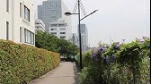 欅坂46 W Keyakizakaの詩 Mv ロケ地 Youtube 欅坂46 W Keyakizakaの詩 Mv ロケ地 Youtube