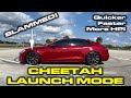 FIRST TEST * Cheetah Launch Mode Testing & Dash Cam Viewer Demonstration * Tesla Model S Performance