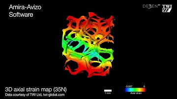 Avizo for DVC | Analysis of 10ppi Aluminium open cell foam under compression