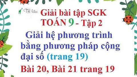 Giải bài 21 trang 19 sgk toán 9 tập 2 năm 2024