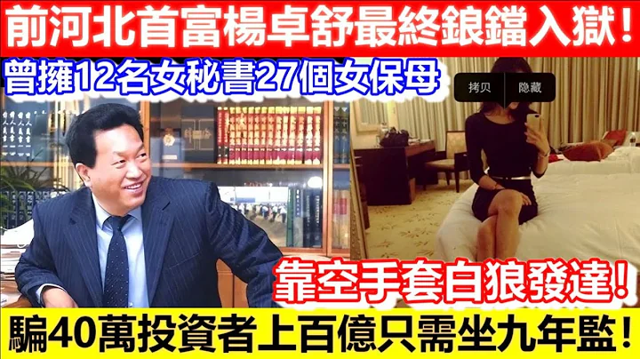 🔴前河北首富楊卓舒最終鋃鐺入獄！騙40萬投資者上百億只需坐九年監！曾擁12名女秘書27個女保母！靠空手套白狼發達！｜CC字幕｜Podcast｜日更頻道 #龐氏騙局 #首富 - 天天要聞