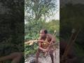 El líder regresa y despierta el espíritu cazador #regresoalajungla #tribufeliz