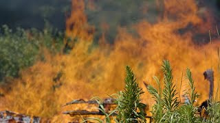 Hot Fire - 4K Realistic Footage - Instant Digital Download