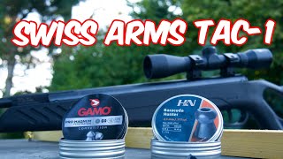 SWISS ARMS tac 1 Carabine à plombs 4.5mm 20 joules séance de tir #gamo #h&n