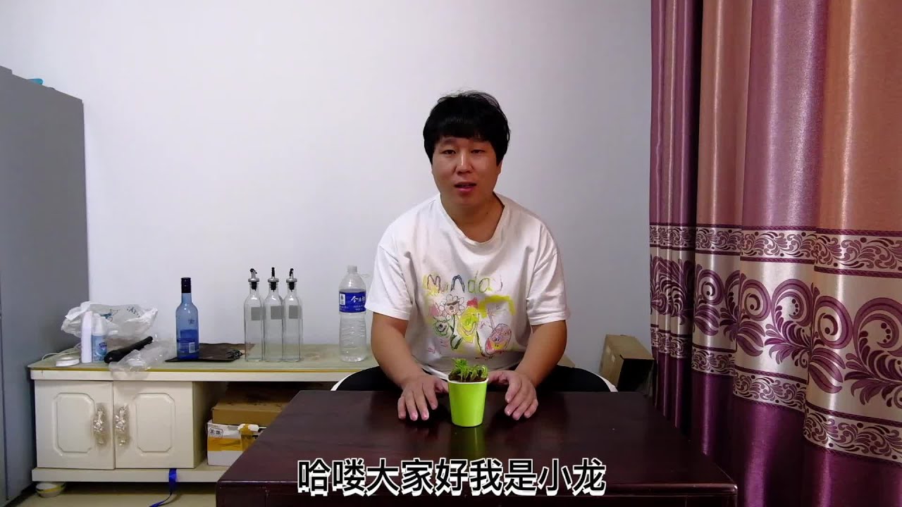 給食人花喂小米辣！它的反應真的笑翻全場 #演员 #选角 #演技 #老戏骨 #喜剧之王