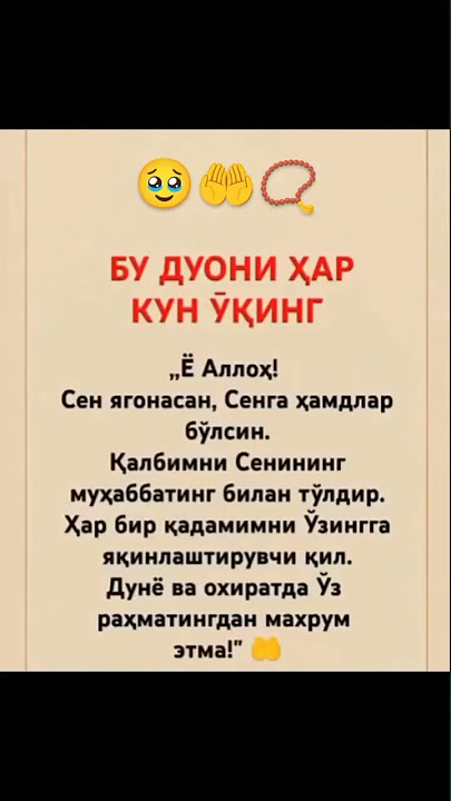 #manolisozlar #hikmatlisozlar #shortvideo #love #islam #shorts