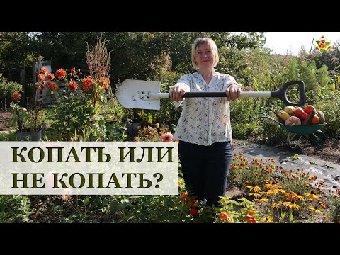 КОПАТЬ ИЛИ НЕ КОПАТЬ огород осенью?