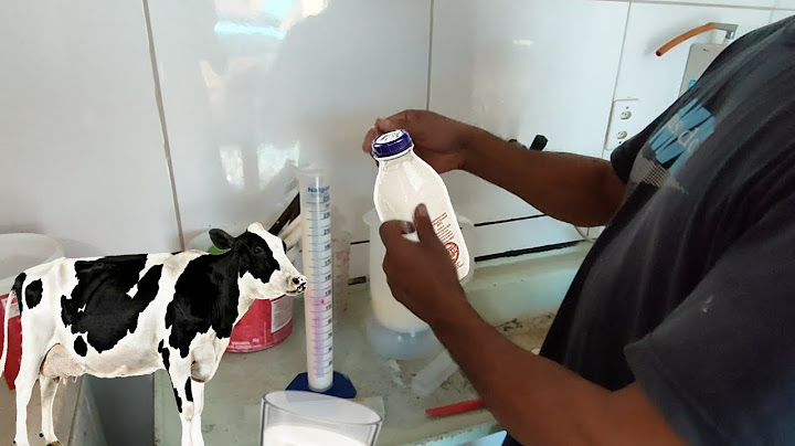 como saber se o leite tem água 🤓👏