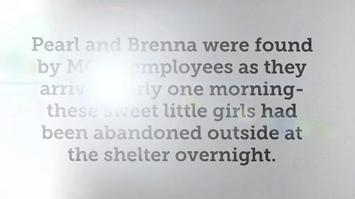 Pearl and Brenna- sisters abandoned overnight at M...