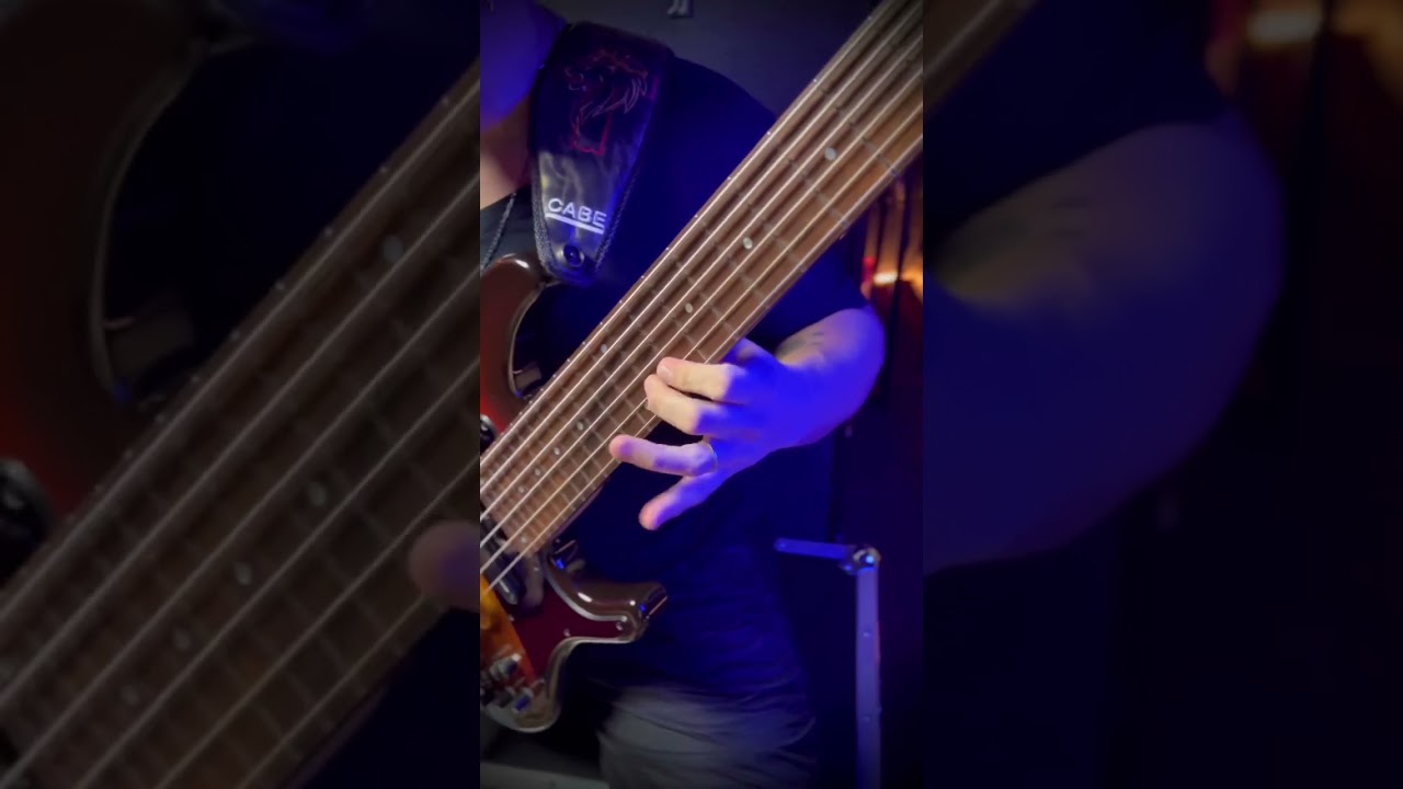 Boss wl-20l da Boss - Ricardinho Paraiso