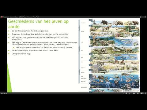 Video: Broedvogels: kenmerken van ontwikkeling en leven