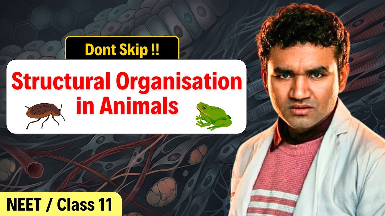 Structural Organisation in Animals - One Shot Video | NEET 2024 | Class ...