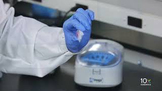 Single Cell ATAC Protocol v2 | Break GEMs with Recovery Agent Net Worth