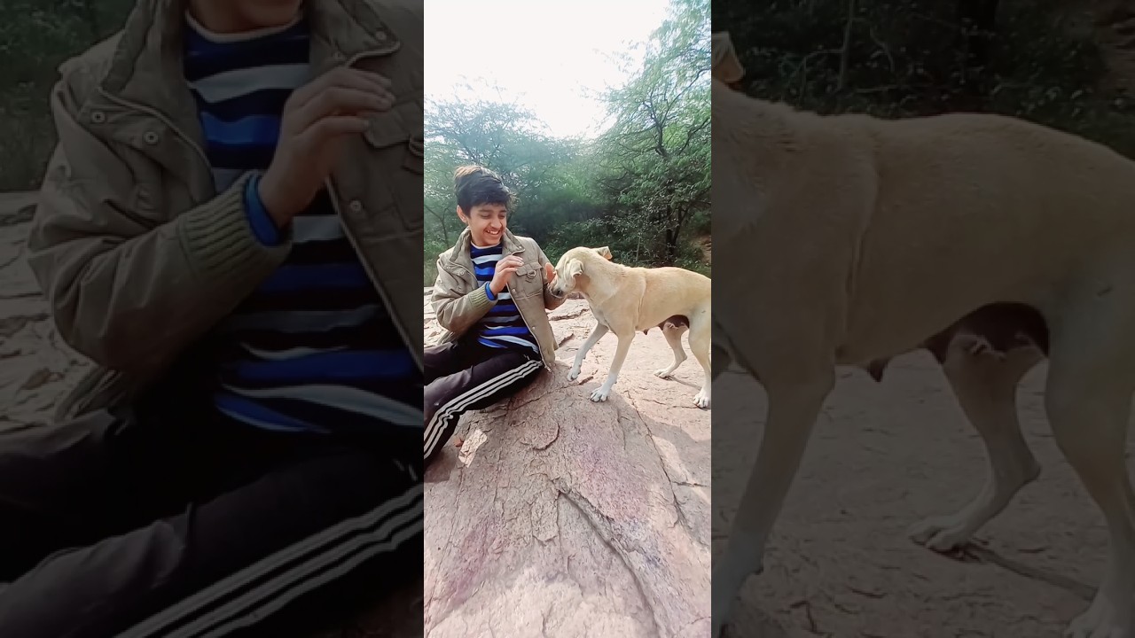 Jungle mei Kutta yuvi ke peche pad gaya 