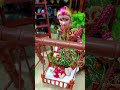 My Little Pari ড ড দ লন ত ক করল 