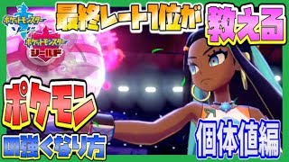 ポケモン剣盾 最終レート１位が教えるポケモンの強くなる方法 初心者編 個体値 ポケットモンスターソードシールド Youtube