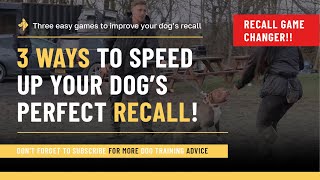 3 ways to speed up your dog’s recall!!!