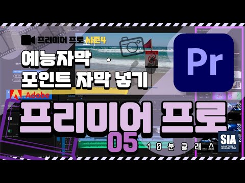 [프리미어 프로 강의 시즌 4-05] 예능 자막 포인트 자막 넣기