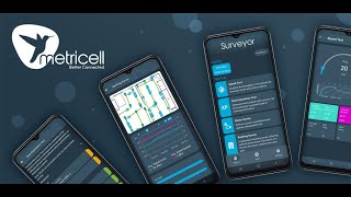 Surveyor - Test My Connection