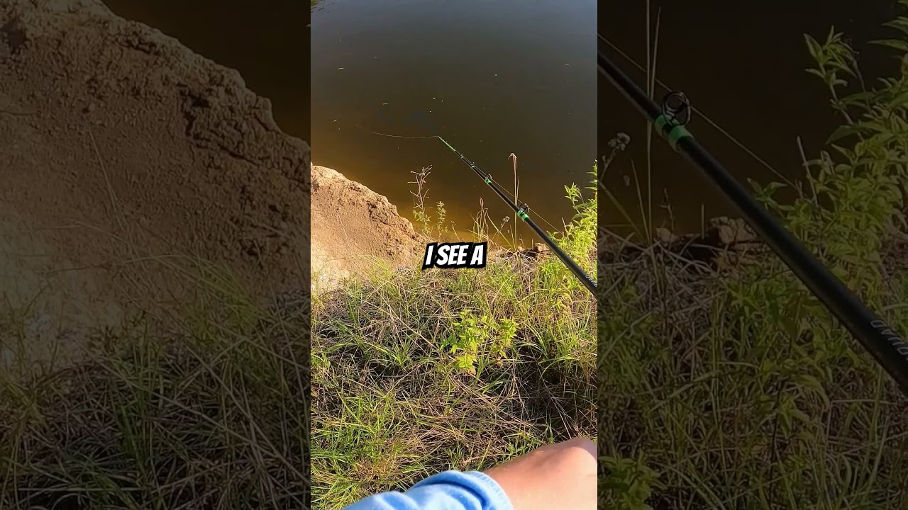 This is every bass fisherman's dream... 