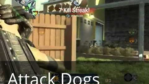 Attack Dogs [Black Ops]