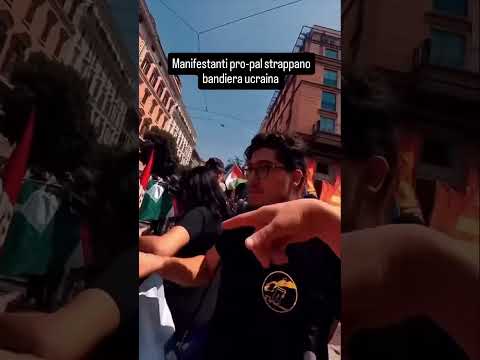 Video Durante una manifestazione pro-Palestina, gli attivisti hanno strappato la bandiera ucraina.??