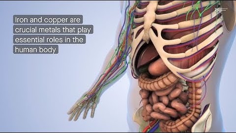 Roles of iron and copper in cell death