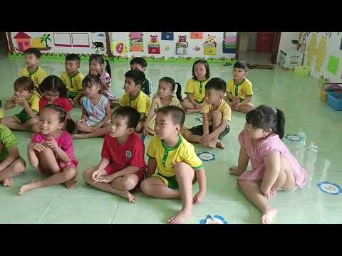 Video Bé nhận biết, so sánh, thêm bớt, tách gộp trong phạm... - youtube